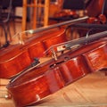 Cello closeup Royalty Free Stock Photo