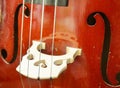 Cello closeup Royalty Free Stock Photo