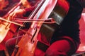 Cello concert with instrument close up. Royalty Free Stock Photo