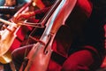 Cello concert with instrument close up Royalty Free Stock Photo