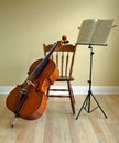 Cello concert or recital Royalty Free Stock Photo