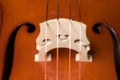 Cello detail
