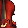 Cello Detail over White