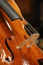 Cello detail with strings.