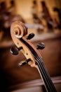 Cello details classic Musical instrument