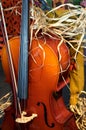 Cello with a Fall Thanksgiving Look