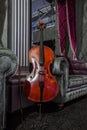 Cello on grey couch