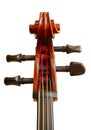 Cello Head