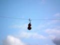 A cello hanging on a wire.