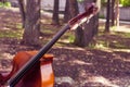 Cello in a landscape. Royalty Free Stock Photo