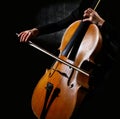 Cello musician