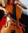 Cello musician