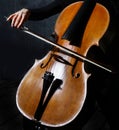 Cello musician