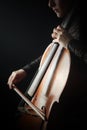 Cello player. Cellist