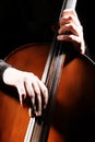 Cello playing hands details