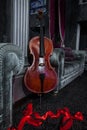 Cello and red ribbon on grey couch