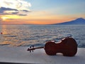 Cello at a sunset Royalty Free Stock Photo