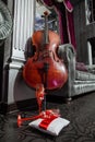 Cello and two red wineglasses on the pillow