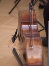 cello or violoncello, string instrument played with a bow