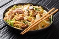 Cellophane Noodles cooked with pork belly, mushrooms and napa cabbage close-up in a plate. horizontal Royalty Free Stock Photo