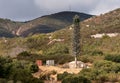 Cellphone mobile transmission tower disguised as a fir tree in California