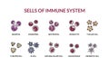 Cells of adaptive immune system. Human cells with names. Scientific microbiology vector illustration in sketch style. blood Royalty Free Stock Photo