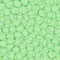 Plant cells micro pattern vector background