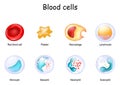 blood cell and Cells of the immune system Royalty Free Stock Photo