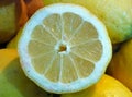 Cells of a lemon in the foreground Royalty Free Stock Photo