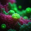 Cells in microscope field illuminated by green light microscopie fluorescent cells Royalty Free Stock Photo