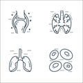 cells organs and medical line icons. linear set. quality vector line set such as blood cells, lungs, human lungs