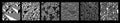 Cellular Automaton Homogeneous Structures Set - Visualization of Artificial Life Model Tessellation Templates