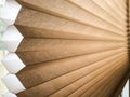 Cellular Honeycomb Shade Blinds Window Treatment Covering Sandy Brown Royalty Free Stock Photo