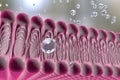 Cellular membrane with diffusion of molecules Royalty Free Stock Photo