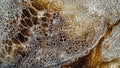 Cellular Mosaic: Warm Earth Tone Organic Bubble Patterns, generative ai