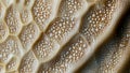 Golden Mosaic of Cellular Structures in Rich Textures, generative ai
