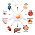 Cellular Senescence and health risks. roles that senescent cells play in the human body Royalty Free Stock Photo