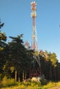 Cellular transmission tower in Moscow region.