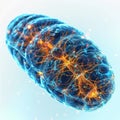 Cellular wonder : mitochondria, the dynamic organelles shaping energy production and vital cell functions within the