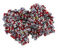 Cellulase (Endoglucanase Cel6B from Humicola insolens) cellulose breakdown enzyme. Cellulase enzymes are used in laundry