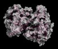 Cellulase (Endoglucanase Cel6B from Humicola insolens) cellulose breakdown enzyme. Cellulase enzymes are used in laundry