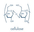 Cellulose, chemical structure. Main component of cotton fiber, wood, paper, etc. Skeletal formula.