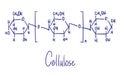 Cellulose chemical structure. Vector illustration Hand drawn