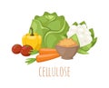 Cellulose food vector illustration.