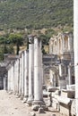 Celsus Library