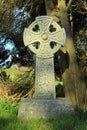 Scotland, Celtic Cross under Old Yew Tree, Dumfries and Galloway, Great Britain