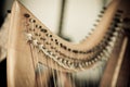 Celtic Harp detail