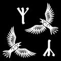 Celtic Scandinavian design. Two Crows and Scandinavian Runes