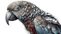 Celtic-style tribal depiction of the African Gray Parrot created with generative AI technology Royalty Free Stock Photo