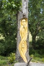 Celtic tree engraving in tarbert park